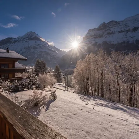 Billabong Apartment Grindelwald