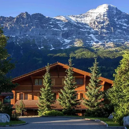Apartment Billabong Grindelwald