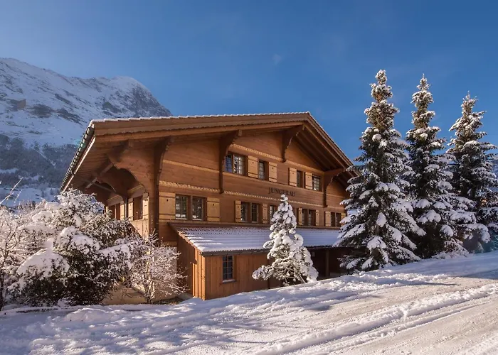 Billabong Appartement Grindelwald