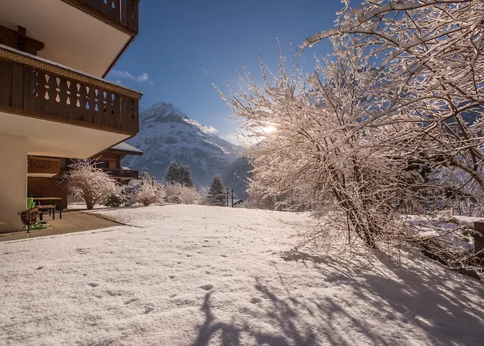 Billabong Appartement Grindelwald