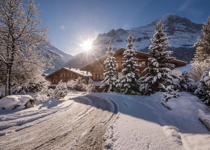 Billabong グリンデルヴァルト