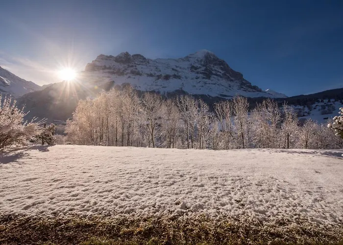 Billabong グリンデルヴァルト